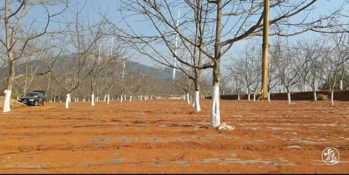 微信图片_20230221092234